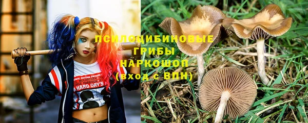 прущая мука Надым