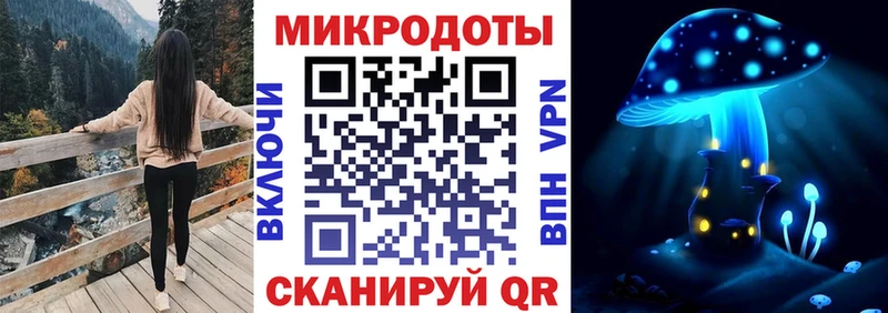 что такое   ОМГ ОМГ вход  Галлюциногенные грибы Psilocybe  Хабаровск 